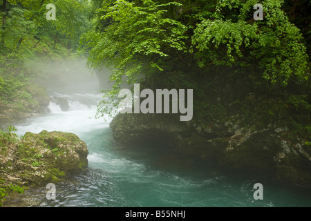 La Radovna qui traverse la gorge de Vintgar près du parc national du Triglav Bled Slovénie Banque D'Images