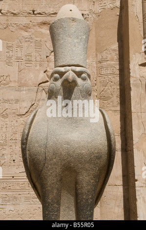 Un pèlerin de la statue en granite de Horus à la salle hypostyle dans temple d'Edfou dédié au dieu faucon Horus, construite pendant la période ptolémaïque -57 237 avant notre ère, l'Égypte Banque D'Images