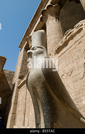 Un pèlerin de la statue en granite de Horus à la salle hypostyle dans temple d'Edfou dédié au dieu faucon Horus, construite pendant la période ptolémaïque -57 237 avant notre ère, l'Égypte Banque D'Images