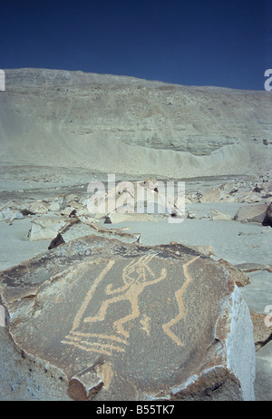 Pétroglyphes de Toro Muerto, vallée de Majes, près de Corire, Arequipa, Pérou ministère Banque D'Images