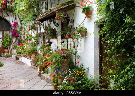 Pots de plantes dans un jardin méditerranéen partie du Festival des patios, Cordoba Andalousie Espagne. El Concurso de los patio Banque D'Images