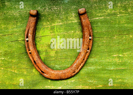 Un fer à cheval cloué sur une surface en bois vert. Banque D'Images