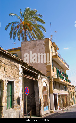 Appartements locaux dans le nord de Nicosie République turque de Chypre du Nord avec palm tree growing on roof Banque D'Images