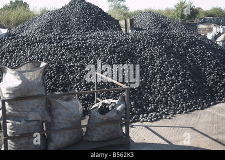 Des tas de charbon dans un chantier de charbon ou d'Rackhams Wickham Market Suffolk Angleterre Banque D'Images