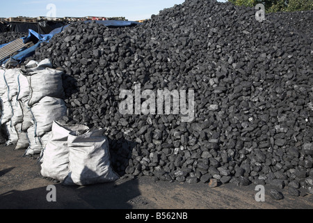 Des tas de charbon dans un chantier de charbon ou d'Rackhams Wickham Market Suffolk Angleterre Banque D'Images