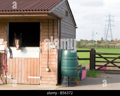 UK- les écuries à Lee Valley Riding Centre et réserve naturelle de Londres Photo © Julio Etchart Banque D'Images