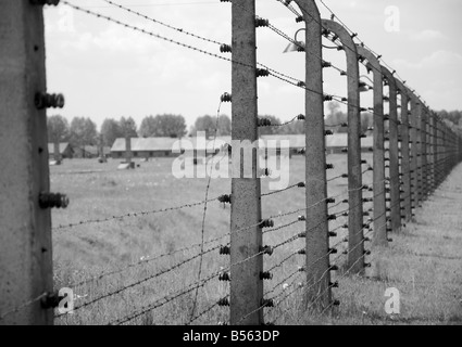 Haute tension à l'abandon du fil barbelé clôture électrifiée à l'ancien camp de concentration d'Auschwitz II (Birkenau) Banque D'Images