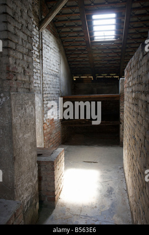 À l'intérieur d'un baraquement de couchage des détenus dans l'ancien camp de concentration d'Auschwitz II (Birkenau) Banque D'Images