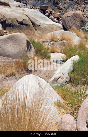 Les roches dans le massif du Brandberg Mountain dans le Damaraland Namibie Banque D'Images