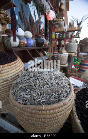Une boutique de souvenirs afficher bédouin traditionnel plateau à Dahab, dans le sud de la péninsule du Sinaï en Égypte. Banque D'Images