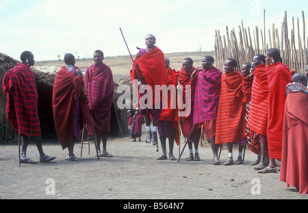 Guerriers Masai traditionnelles faisant sauter dans leur village à la Ngorongoro Conservation Area, Tanzania, Africa Banque D'Images