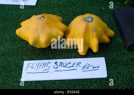 Un affichage fantastique de citrouilles Banque D'Images