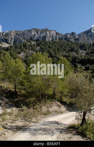 La voie à Vila de Muro rock pinacles, Sierra de Serrella, Comtat, Province d'Alicante, Communauté Valencienne, Espagne Banque D'Images