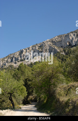 La voie à Vila de Muro rock pinacles, Sierra de Serrella, Comtat, Province d'Alicante, Communauté Valencienne, Espagne Banque D'Images