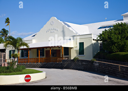 Les Bermudes Aquarium, Museum et Zoo, Flatts Village, Bermudes Banque D'Images