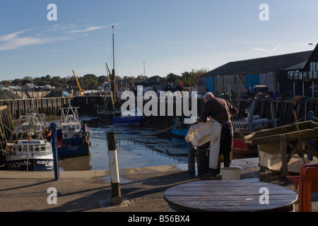 Homme travaillant dans whitstable harbor Banque D'Images
