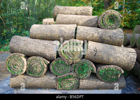 Rouleaux de gazon en pile, la Vallée des jardins, Windsor Great Park, Virginia Water, Surrey, Angleterre, Royaume-Uni Banque D'Images