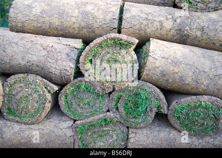 Rouleaux de gazon en pile, la Vallée des jardins, Windsor Great Park, Virginia Water, Surrey, Angleterre, Royaume-Uni Banque D'Images