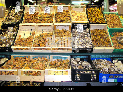 Sélection de champignons séchés en vente dans des barquettes sur stand dans le marché alimentaire de la Boqueria, Barcelone, Espagne Banque D'Images