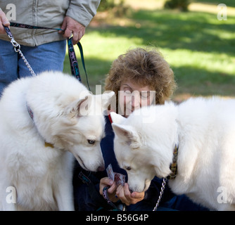 Une femme assise dans un parc de jouer avec ses deux magnifiques huskies blanc. Banque D'Images