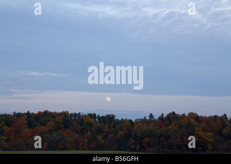 La lune dans le ciel Banque D'Images