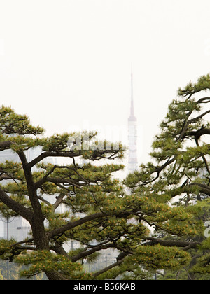 Les arbres et la tour de Tokyo Banque D'Images