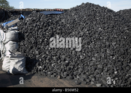 Des tas de charbon dans un chantier de charbon ou d'Rackhams Wickham Market Suffolk Angleterre Banque D'Images