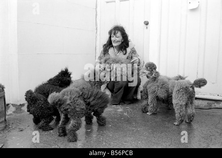 Chiens expulsés. Mme Fay Hughes. Janvier 1975 75-00437-001 Banque D'Images