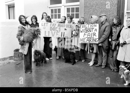 Chiens expulsés. Mme Fay Hughes. Janvier 1975 75-00437-008 Banque D'Images