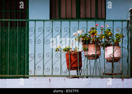 Trois pots de plantes sont sur un balcon à Ajijic Mexique Banque D'Images