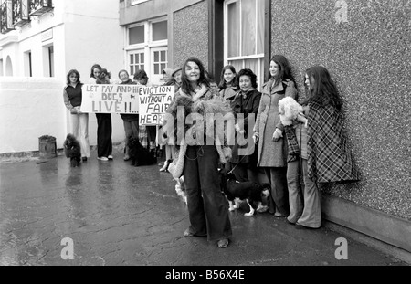 Chiens expulsés. Mme Fay Hughes. Janvier 1975 75-00437-010 Banque D'Images