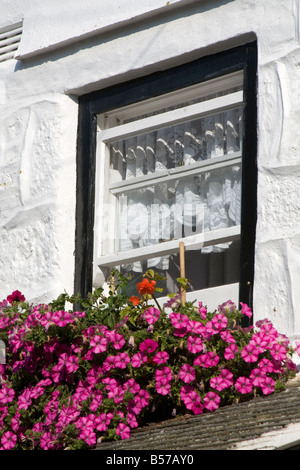 Ceinture à pans ouverts noir Cornish cottage fenêtre contre un mur blanc avec des fleurs dans une fenêtre de dialogue. Banque D'Images