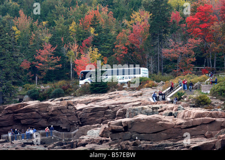 Autocar de touristes s'arrêtant à Thunder Hole dans l'Acadia National Park dans le Maine, USA Banque D'Images