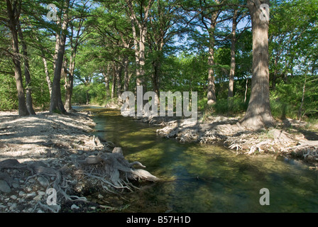 Texas Hill Country Bandera Comté Freeman traversant la rivière Medina Banque D'Images