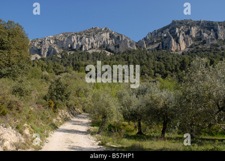 La voie à Vila de Muro rock pinacles, Sierra de Serrella, Comtat, Province d'Alicante, Communauté Valencienne, Espagne Banque D'Images