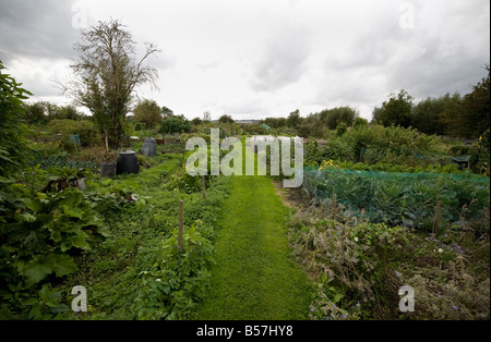 Un sentier sur une allocations de Banque D'Images