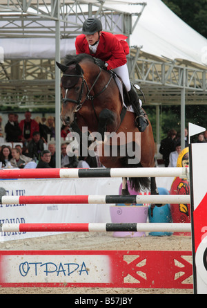 Rider saut sur dos d'un cheval allemand Banque D'Images
