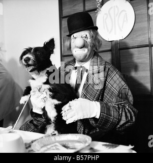 Fête de Noël des chiens. 'Hobo' accueille le doggy réduite bénéficiant d'un menu composé de biscuits, de la viande de chiens, de la Turquie et de chocolat sauce-sauce-gouttes. ;Décembre 1970 ;70-11583-007 Banque D'Images