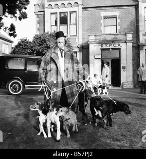 Fête de Noël des chiens. 'Hobo' accueille le doggy réduite bénéficiant d'un menu composé de biscuits, de la viande de chiens, de la Turquie et de chocolat sauce-sauce-gouttes. ;Décembre 1970 ;70-11583-012 Banque D'Images
