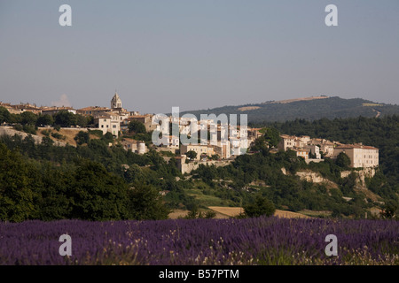 Sault en Provence, Vaucluse, Provence, France, Europe Banque D'Images