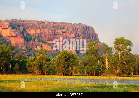 Nourlangie Rock et Anbangbang Billabong, Kakadu National Park, UNESCO World Heritage Site, Territoire du Nord, Australie Banque D'Images