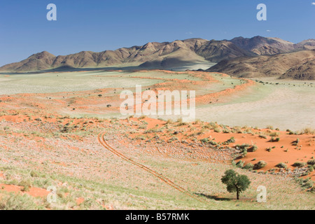 Wolvedans, Namib Rand Nature Reserve, Namibie, Afrique Banque D'Images