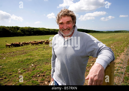 Peter Davies agriculteur biologique Gloustershire alimentation spot vieux porcs sur sa ferme à Southerndown Vallée de Glamorgan au Pays de Galles du Sud Banque D'Images