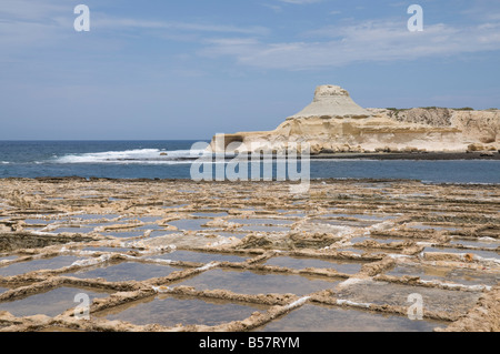 Les marais salants à Qbajjar, près de Marsalforn, Gozo, Malte, Méditerranée, Europe Banque D'Images