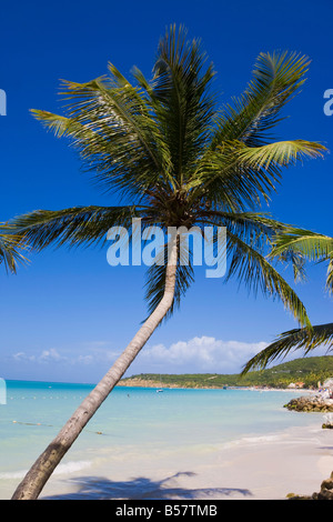 Dickenson Bay Beach, la plus grande et la plus célèbre plage de l'île, Antigua, Iles sous le vent, Antilles, Caraïbes Banque D'Images