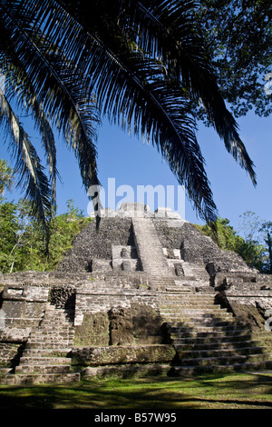 Temple élevé (Structure N10-43), le plus haut temple dans le site Maya, Lamanai, Belize, Amérique Centrale Banque D'Images