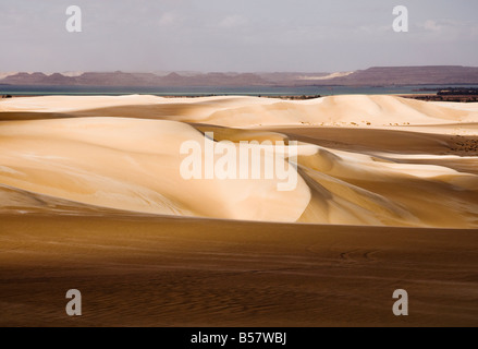 Dunes de sable, la Grande Mer de Sable, le désert occidental, l'Égypte, l'Afrique du Nord, Afrique Banque D'Images
