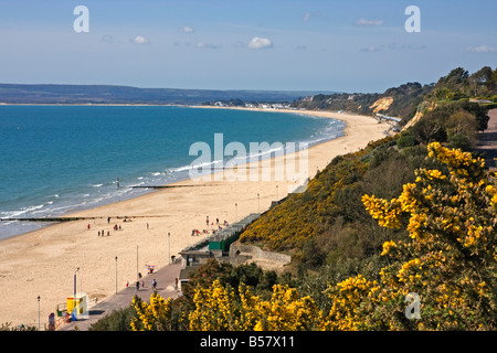 La plage et les falaises de l'ouest, la baie de Poole, Bournemouth, Dorset, Angleterre, Royaume-Uni, Europe Banque D'Images