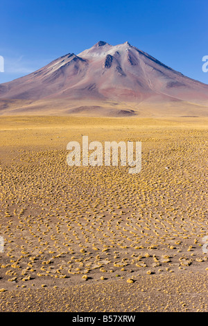 L'altiplano, la réserve nationale Los Flamencos, Désert d'Atacama, région d'Antofagasta, Chili Banque D'Images