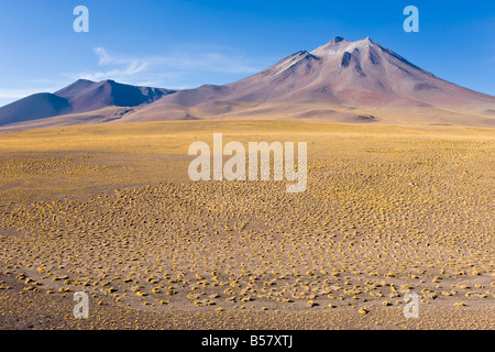 L'altiplano, la réserve nationale Los Flamencos, Désert d'Atacama, région d'Antofagasta, Chili Banque D'Images